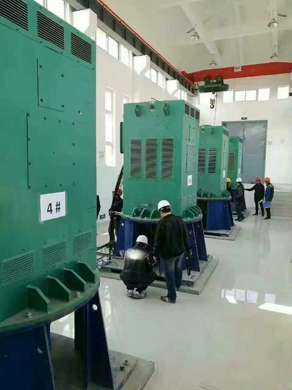 重庆某污水处理厂使用我厂的立式高压电机安装现场一年质保